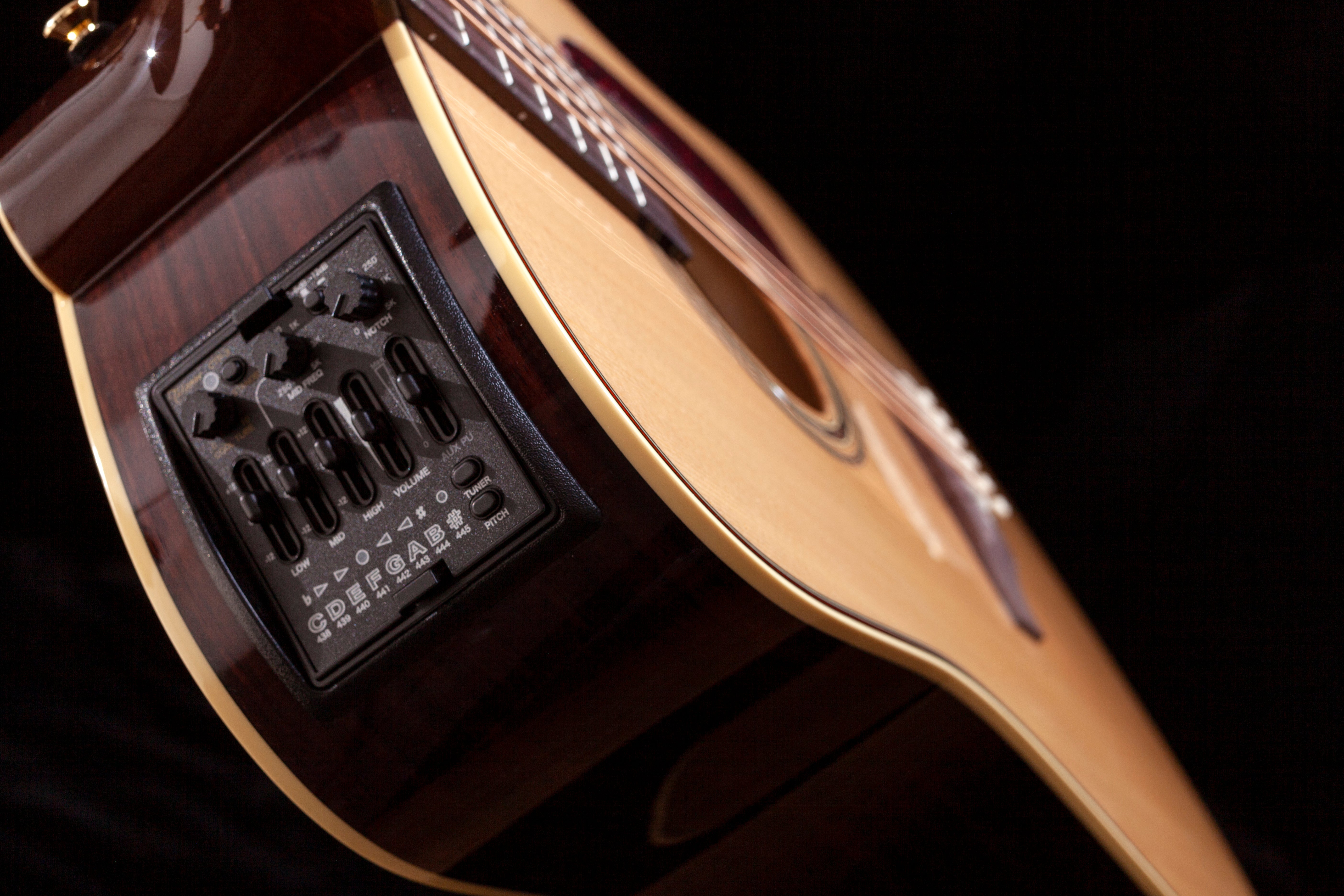 What makes the Palathetic Pickup so special?