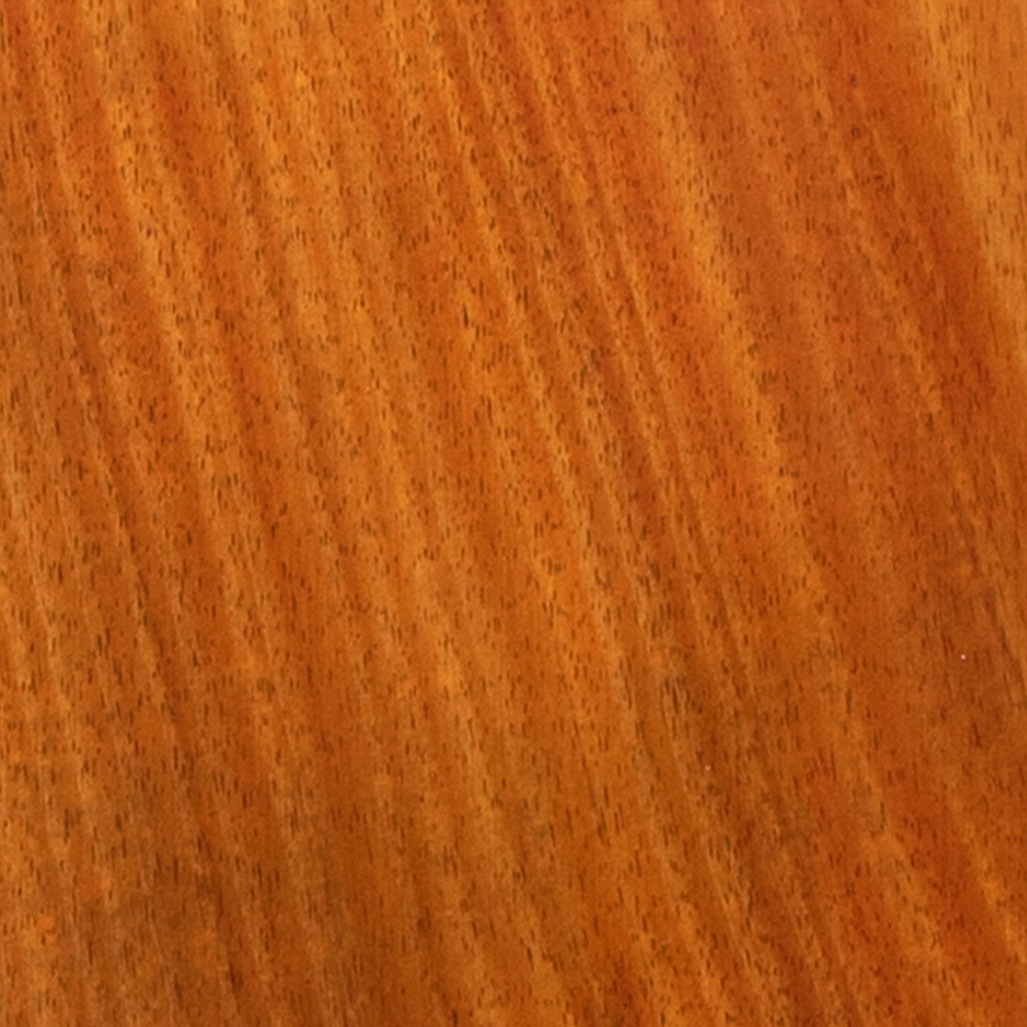 Takamine Guitar Wood Types
